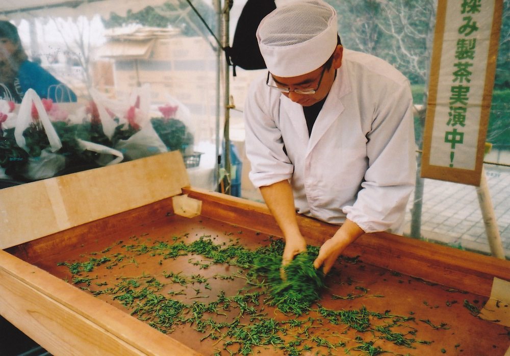 green tea manufacturing process